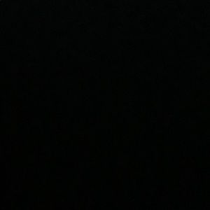 Meet your Posher, Gus